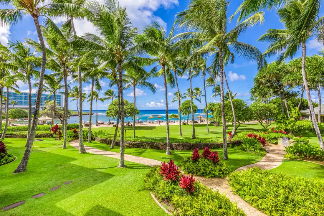 A landscaped tropical garden with palm trees and a path beside the ocean.