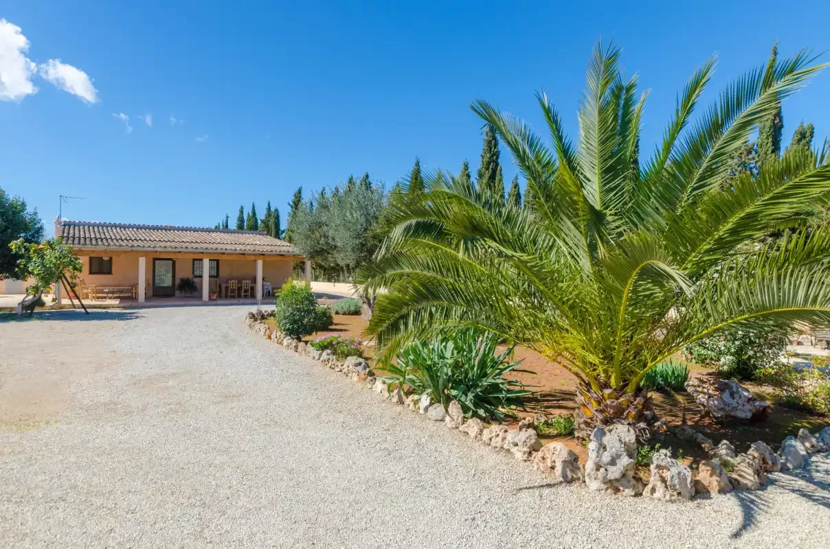 A low house stands beside a gravel driveway and landscaped palm garden.