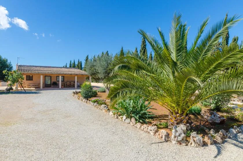 A low house sits beside a gravel driveway and landscaped palm garden.