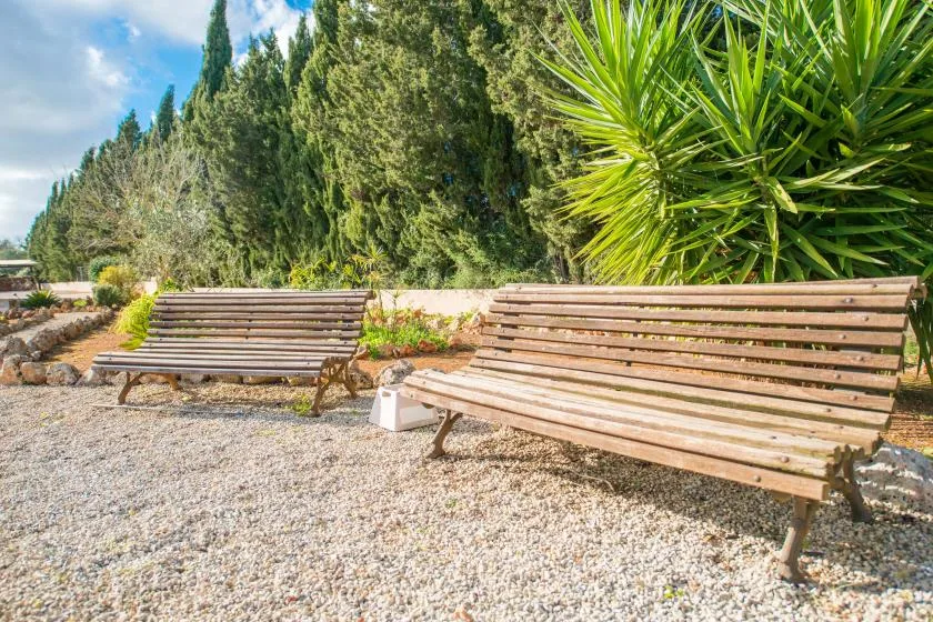 An outdoor seating area with wooden benches beside trees and shrubs.