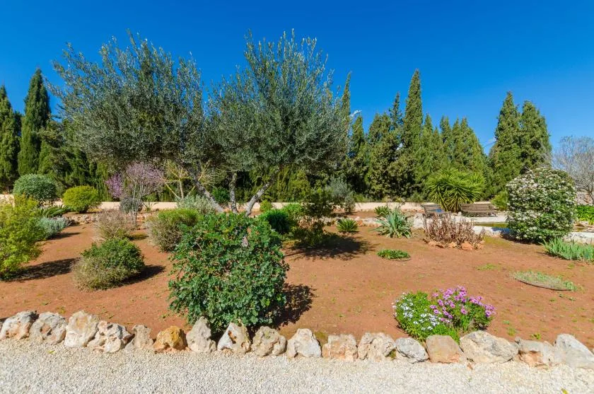 A landscaped garden with leafy trees, flowering plants, and a stone border.