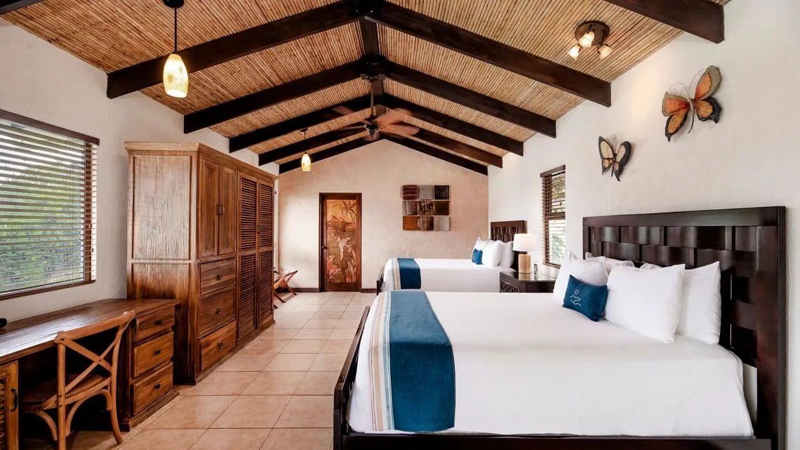 Buena Vista Chic Hotel