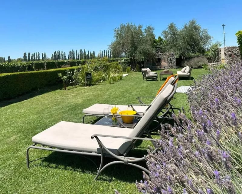 Unique 2BR House w/ AC & Vineyard Views