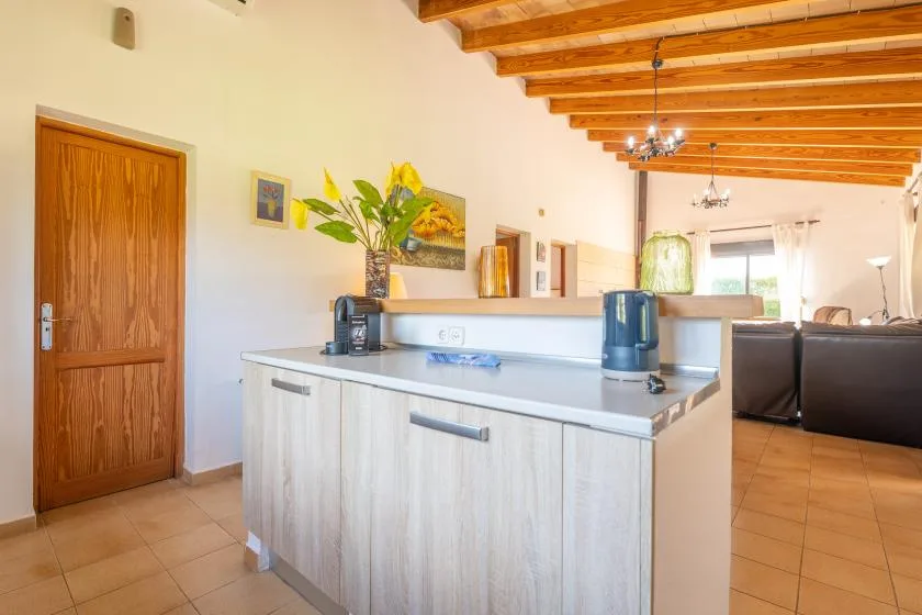 A bright open-plan kitchen with a central island and adjoining living area.