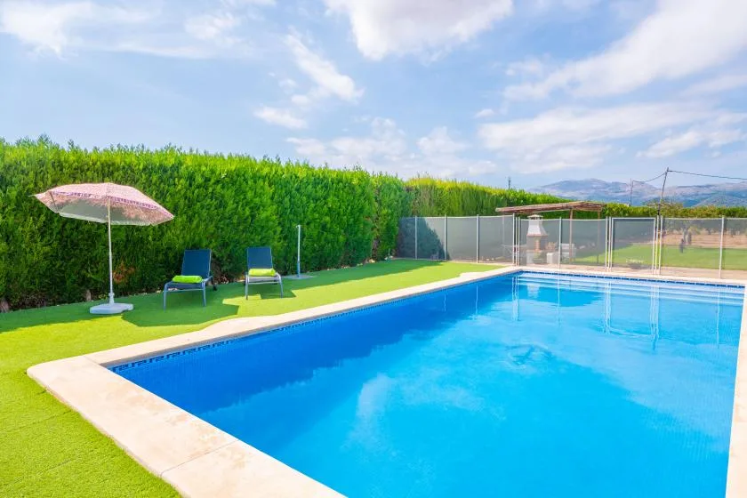 An outdoor swimming pool beside a lawn and tall green hedges.
