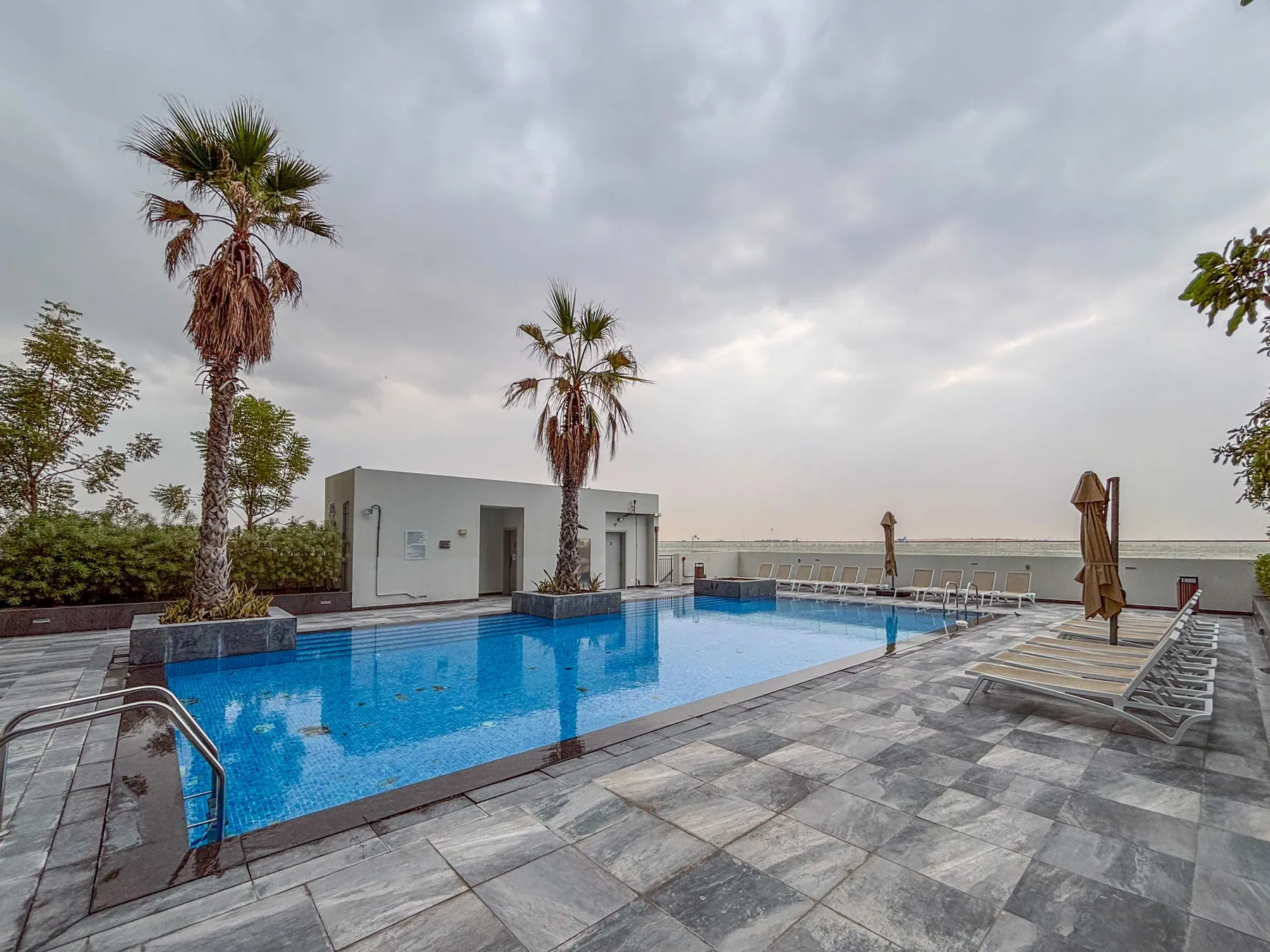 Una piscina en la azotea junto a una terraza pavimentada, con palmeras y tumbonas.