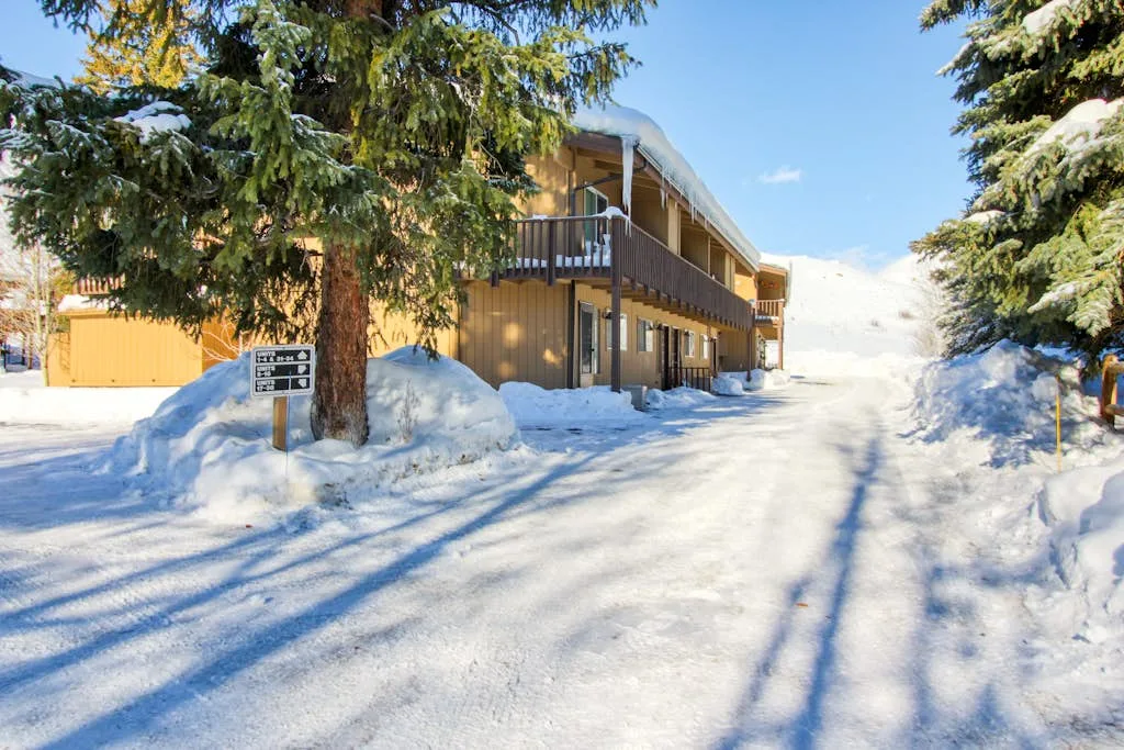 Un edificio de varios pisos está junto a un camino cubierto de nieve, rodeado de árboles de hoja perenne.