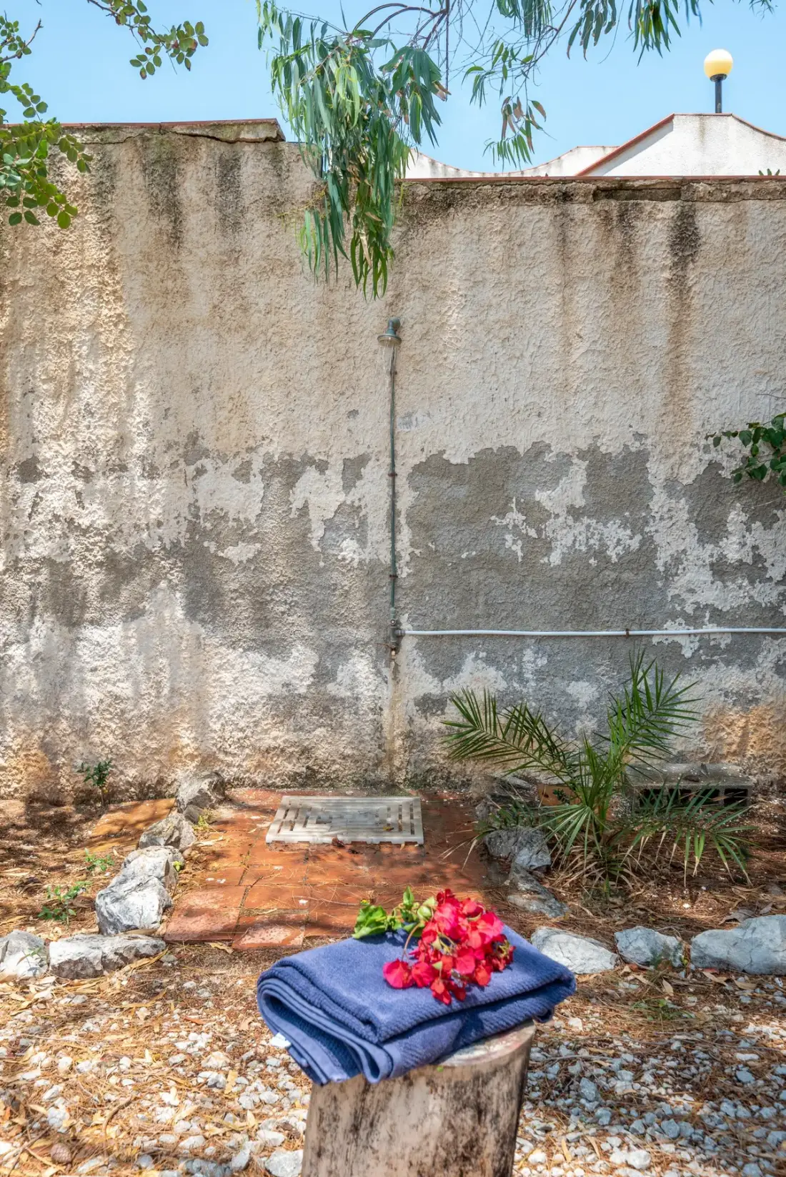 A small outdoor courtyard with a folded blue towel and flowering plants.