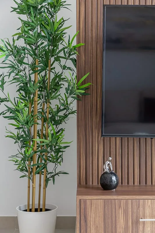 A living area features a tall leafy plant beside a television on a wood-paneled wall.