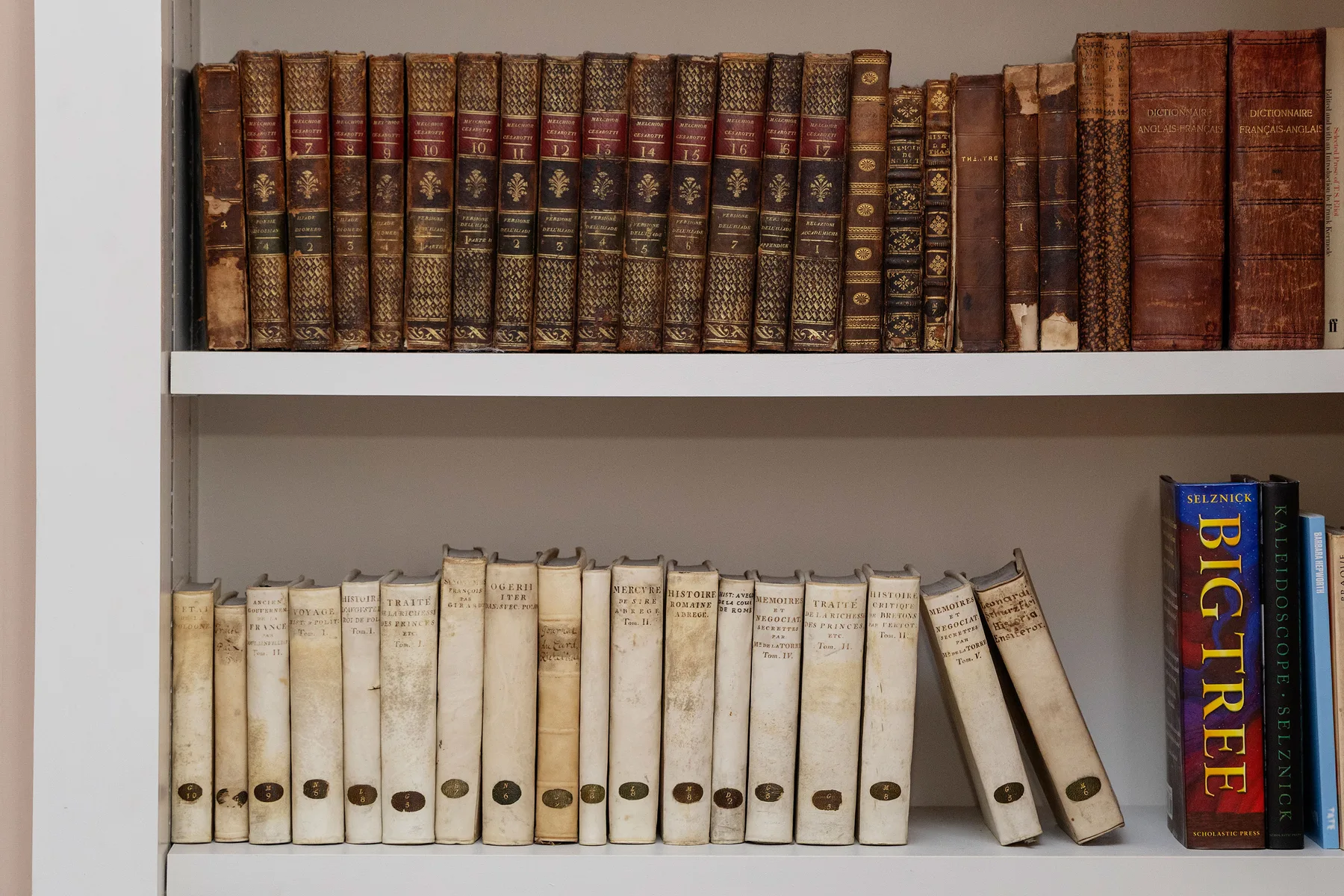A bookshelf displays rows of old books with worn, varied bindings.