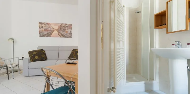 A living and dining area beside a bathroom with a shower and sink.