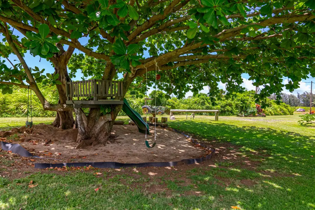Una zona de juegos sombreada tiene una casa de madera en un árbol, un columpio y un tobogán.