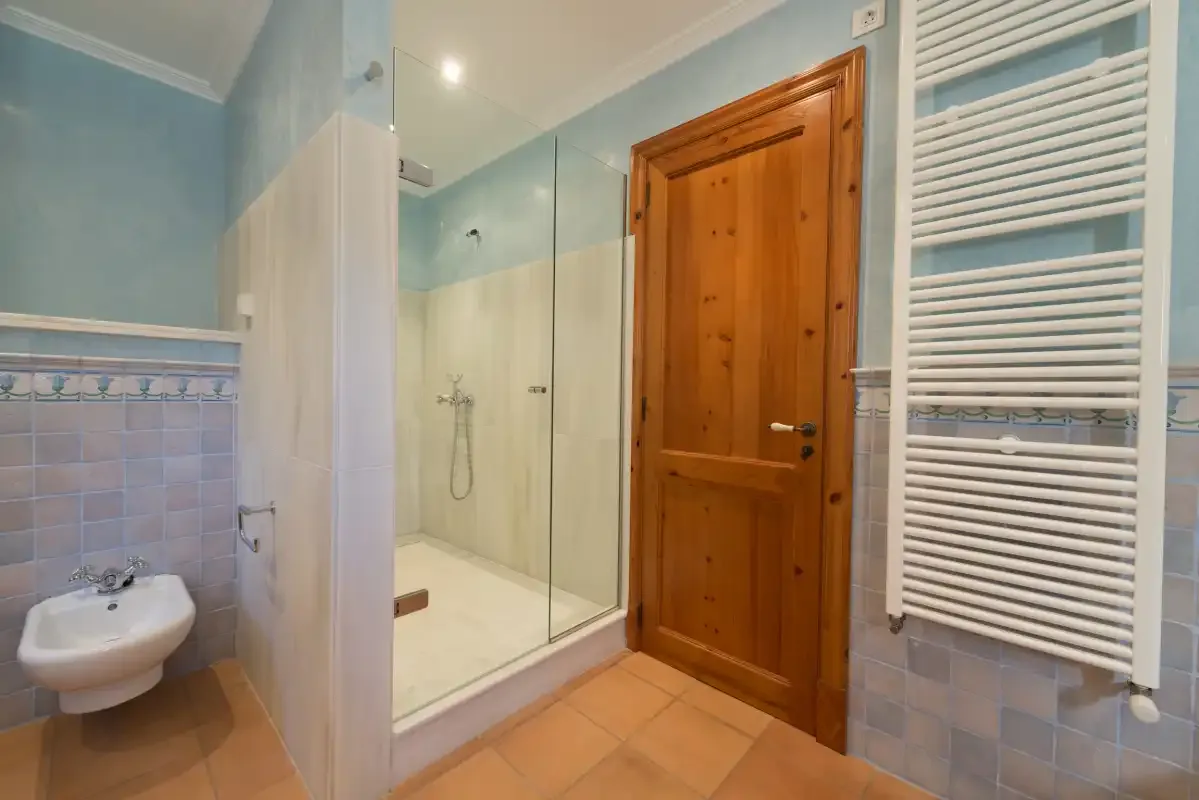 A bathroom with a glass shower, wooden door, and wall-mounted towel radiator.