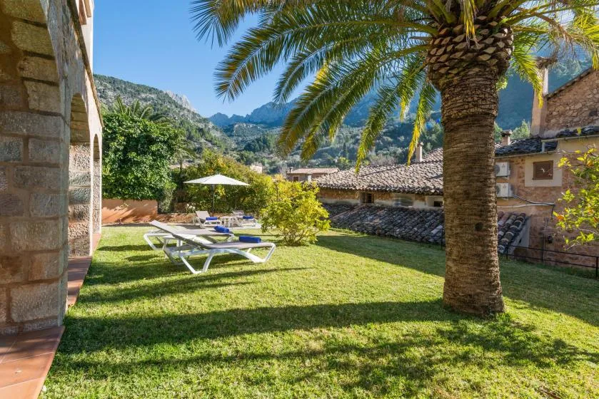 A sunny garden with palm trees, lawn, and outdoor loungers.