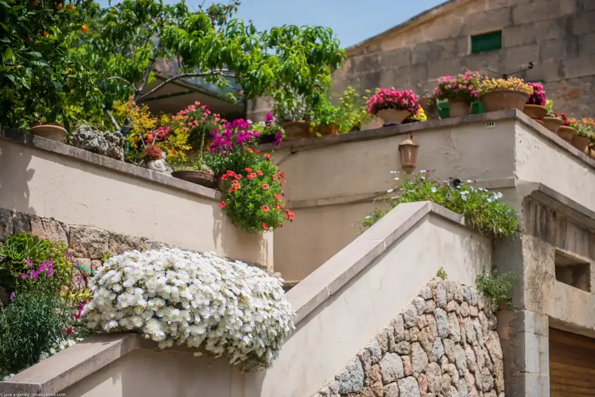 A stone outdoor staircase rises past white walls and flowering plants.