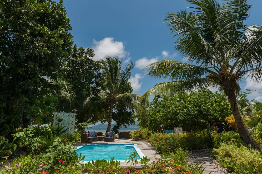 Garden and pool