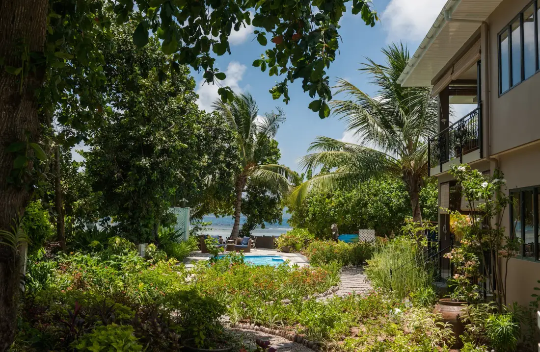 Garden and pool
