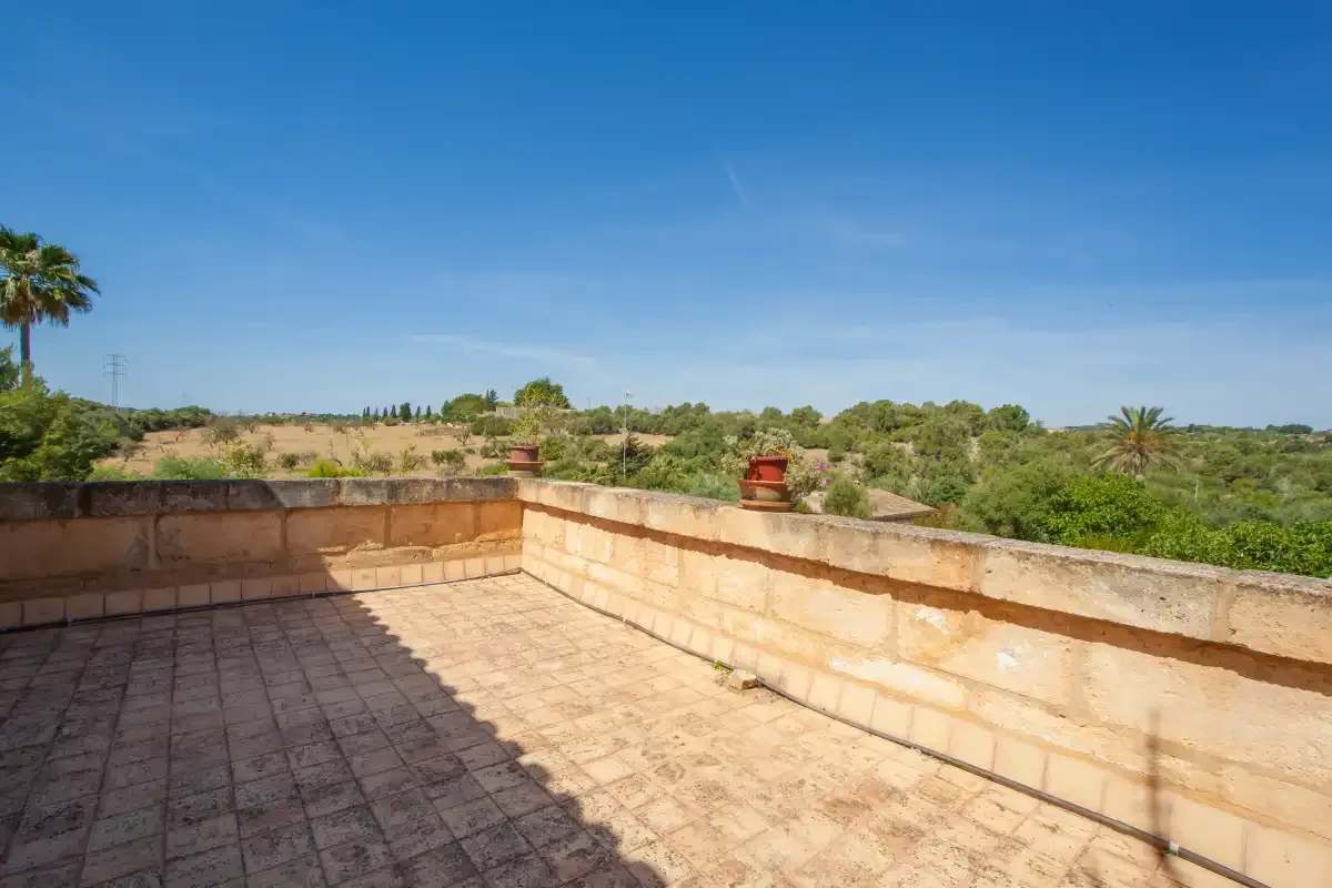A sunlit tiled terrace overlooks a green, shrub-covered landscape.