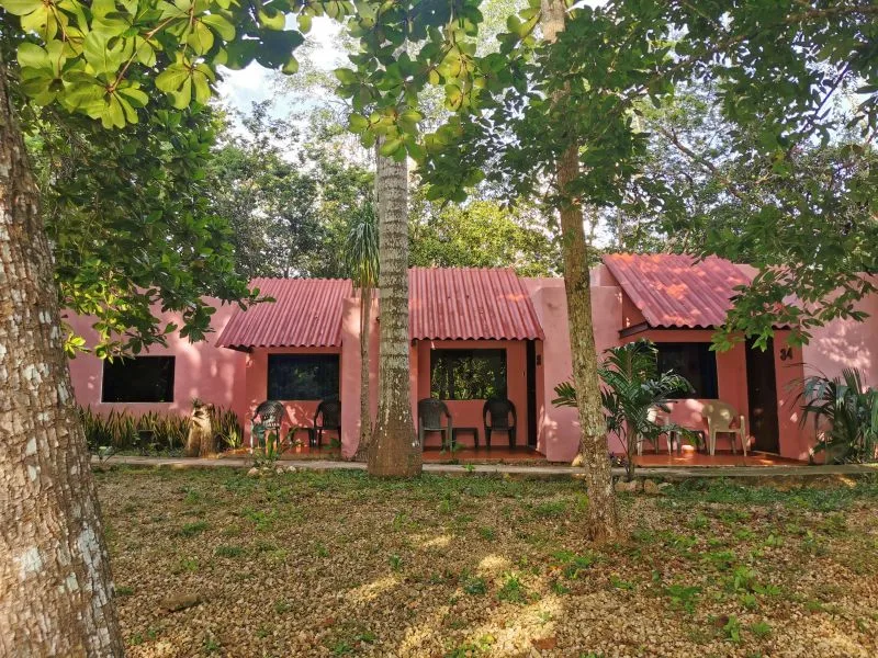 Bungalows con sombra natural