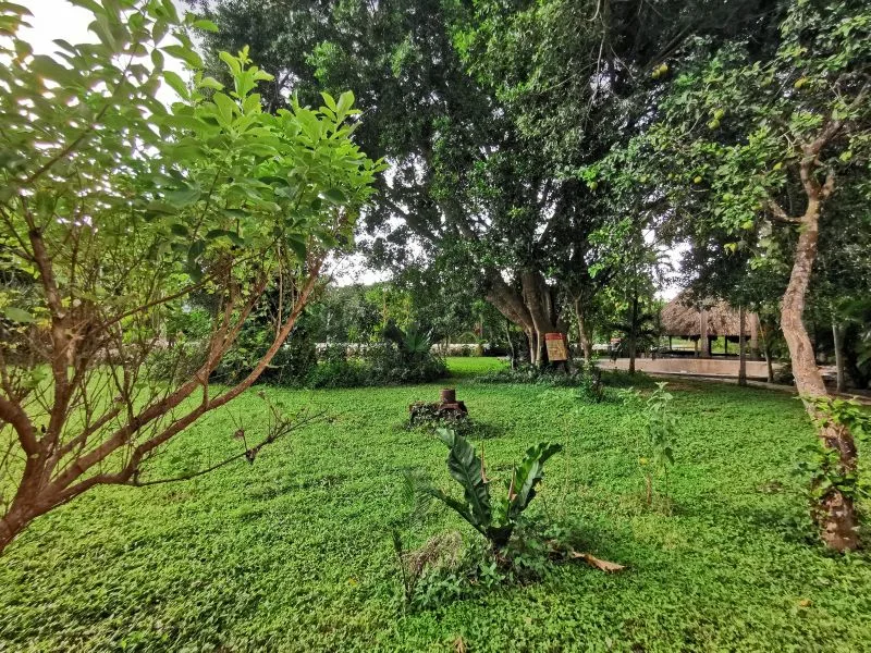 Rodeado de naturaleza