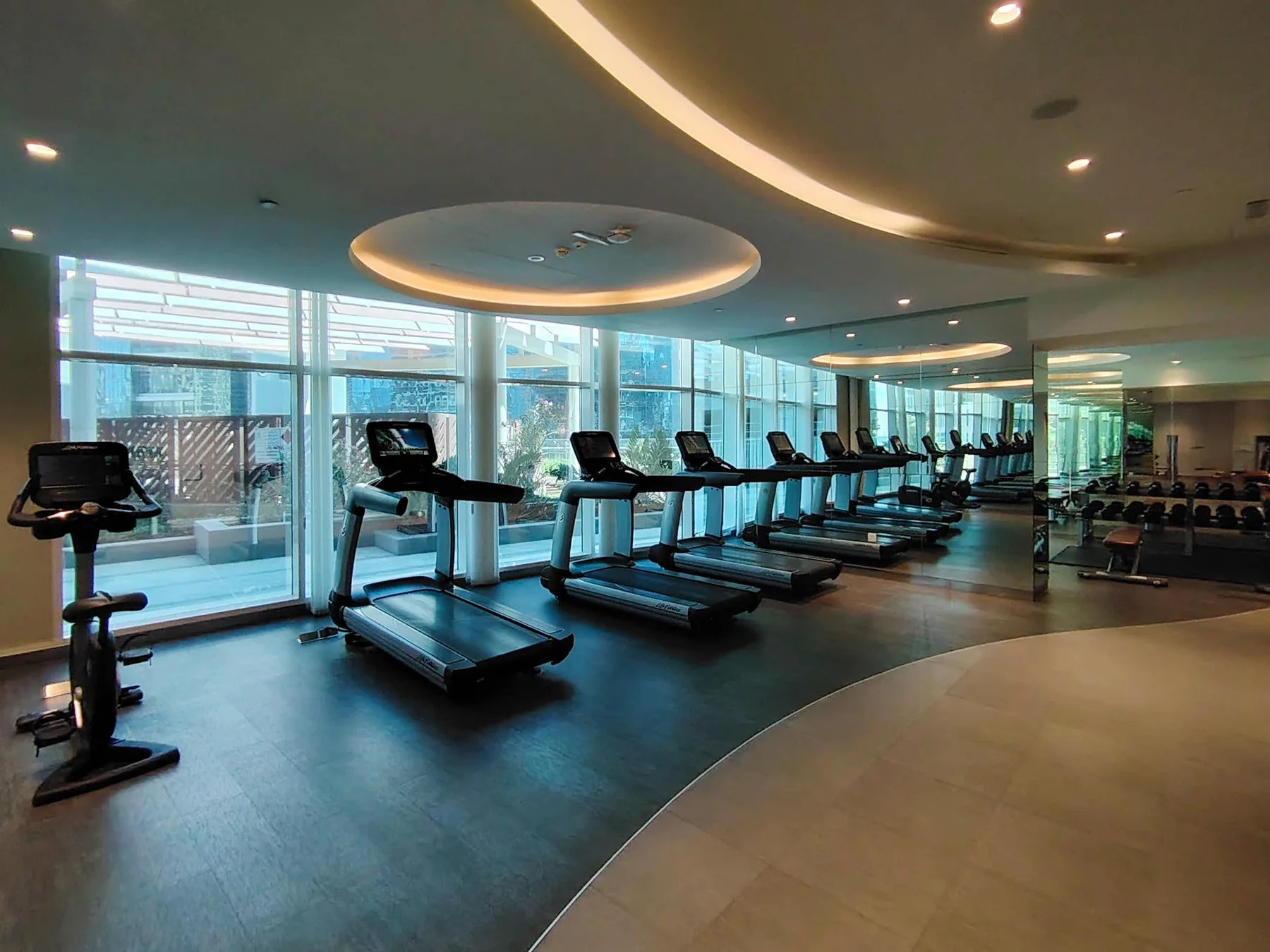 A gym with rows of treadmills beside large windows.