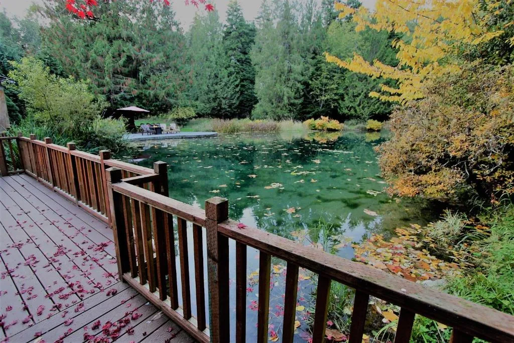 Alexander’s Lodge property view