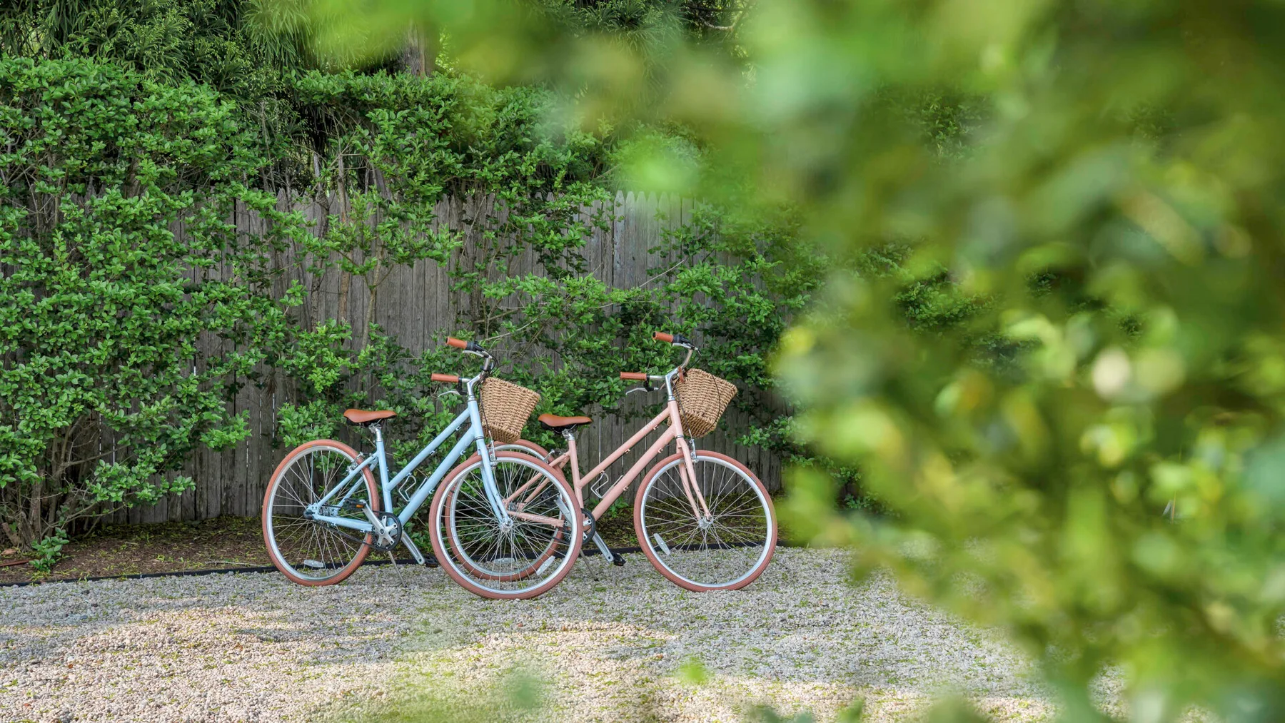 Dos bicicletas están junto a un sendero de grava y una cerca cubierta de vegetación.