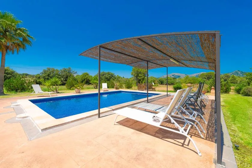 An outdoor swimming pool sits beside lounge seating beneath a shade canopy.