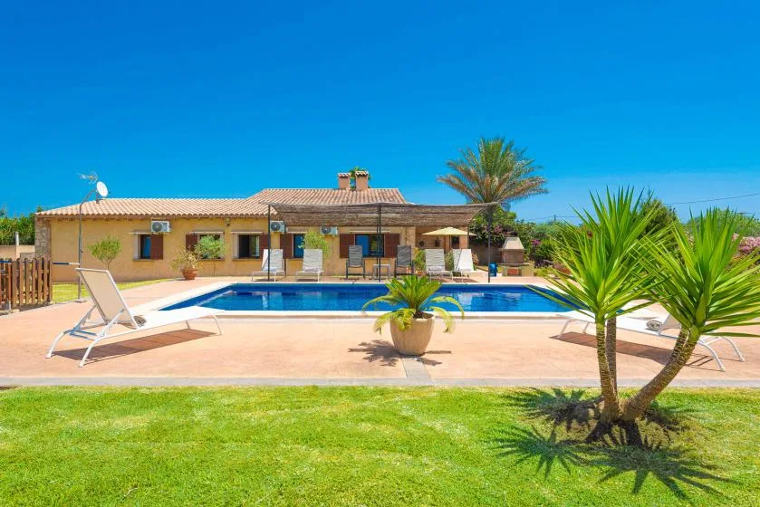 A swimming pool and patio sit in front of a low house, with lawn and palm plants.