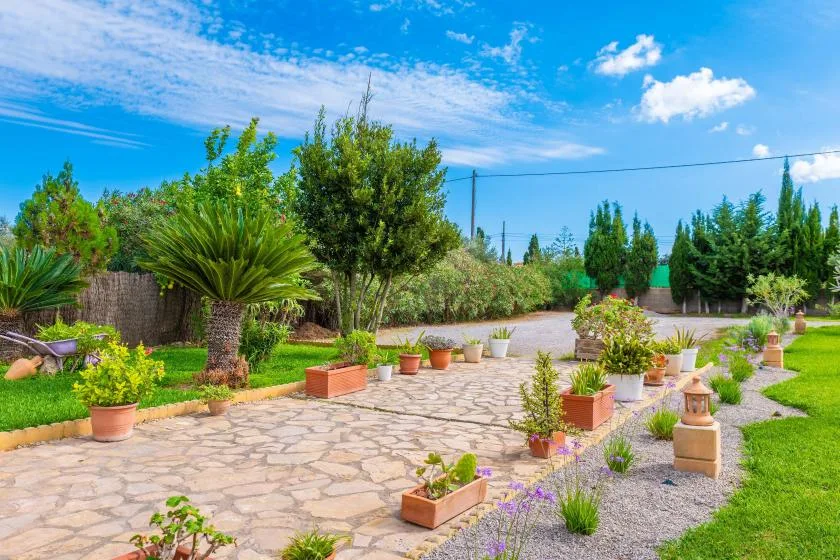 A paved garden path winds between potted plants and leafy trees.