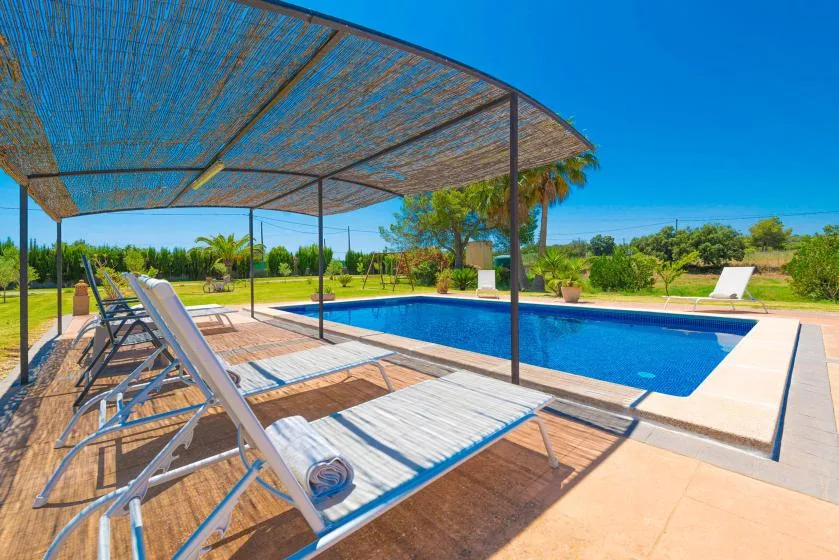 An outdoor swimming pool beside shaded loungers and a green garden.