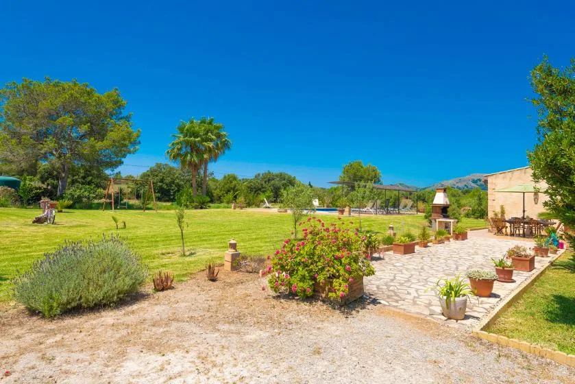 A sunny garden patio with potted plants, flowering shrubs, and open lawn.