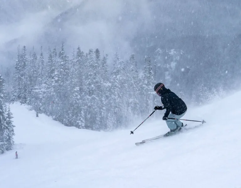 A skier descends a snowy slope with a forest of snow-covered trees in the background.