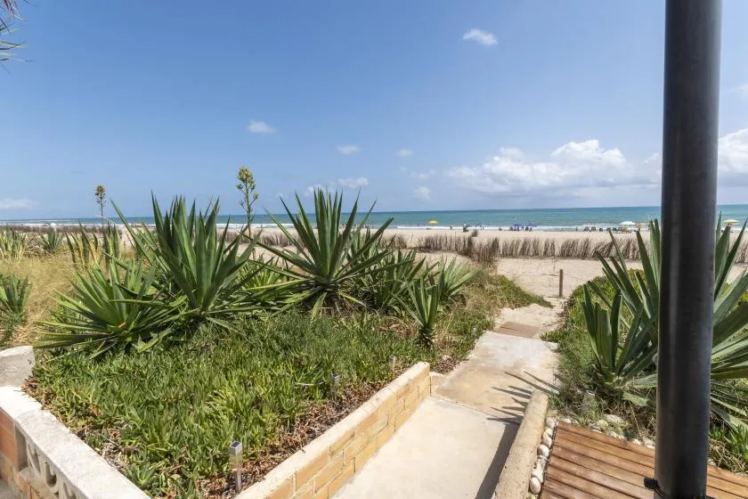 Se ven una playa de arena y el océano más allá de un sendero y plantas costeras.