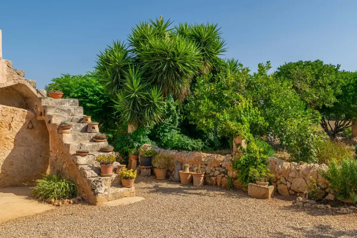 Un patio ajardinado soleado con escalones de piedra, plantas en macetas y árboles frondosos.
