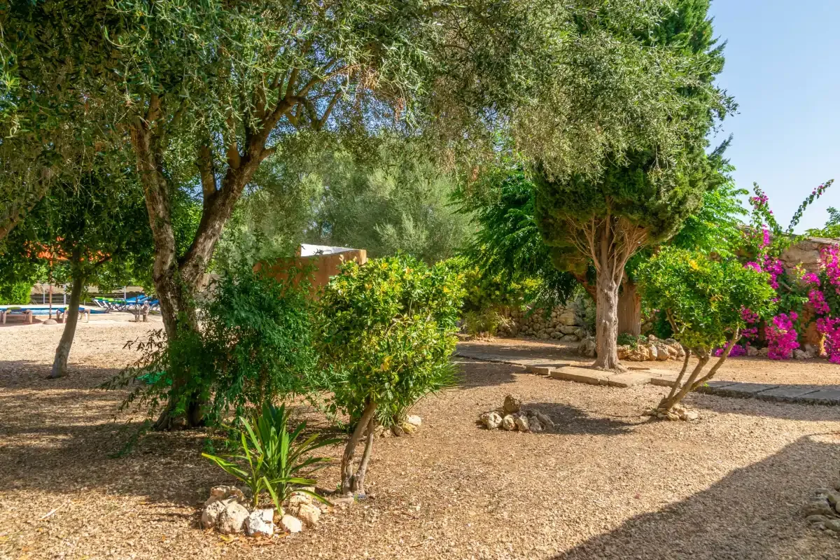 Un jardín ajardinado con árboles maduros, arbustos y suelo cubierto de grava.