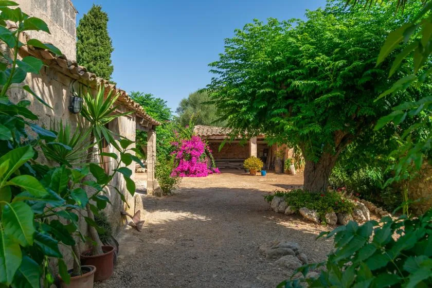 Un patio exterior frondoso con un camino de grava y arbustos floridos.