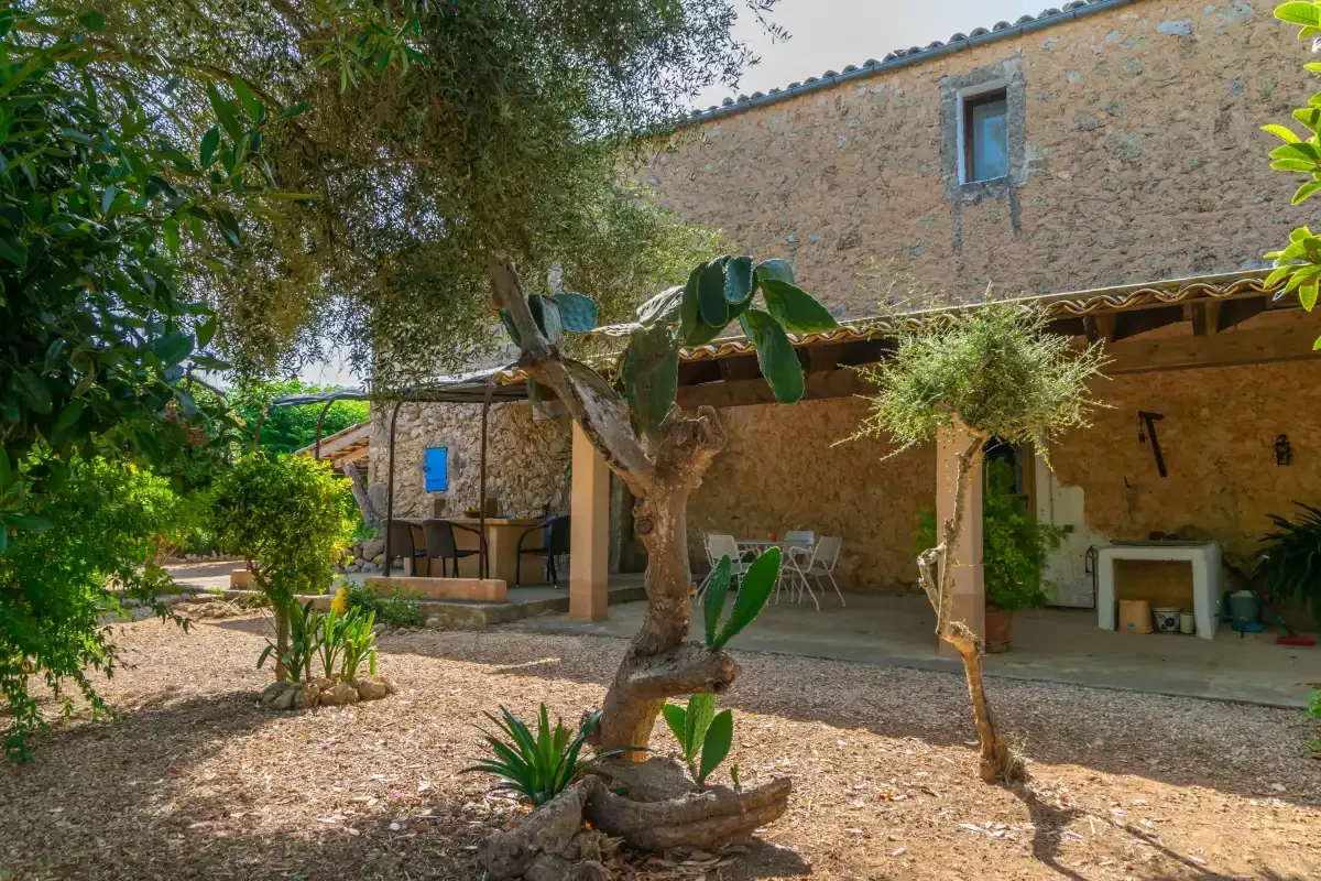 Un edificio de piedra da a un patio sombreado con árboles y asientos al aire libre.