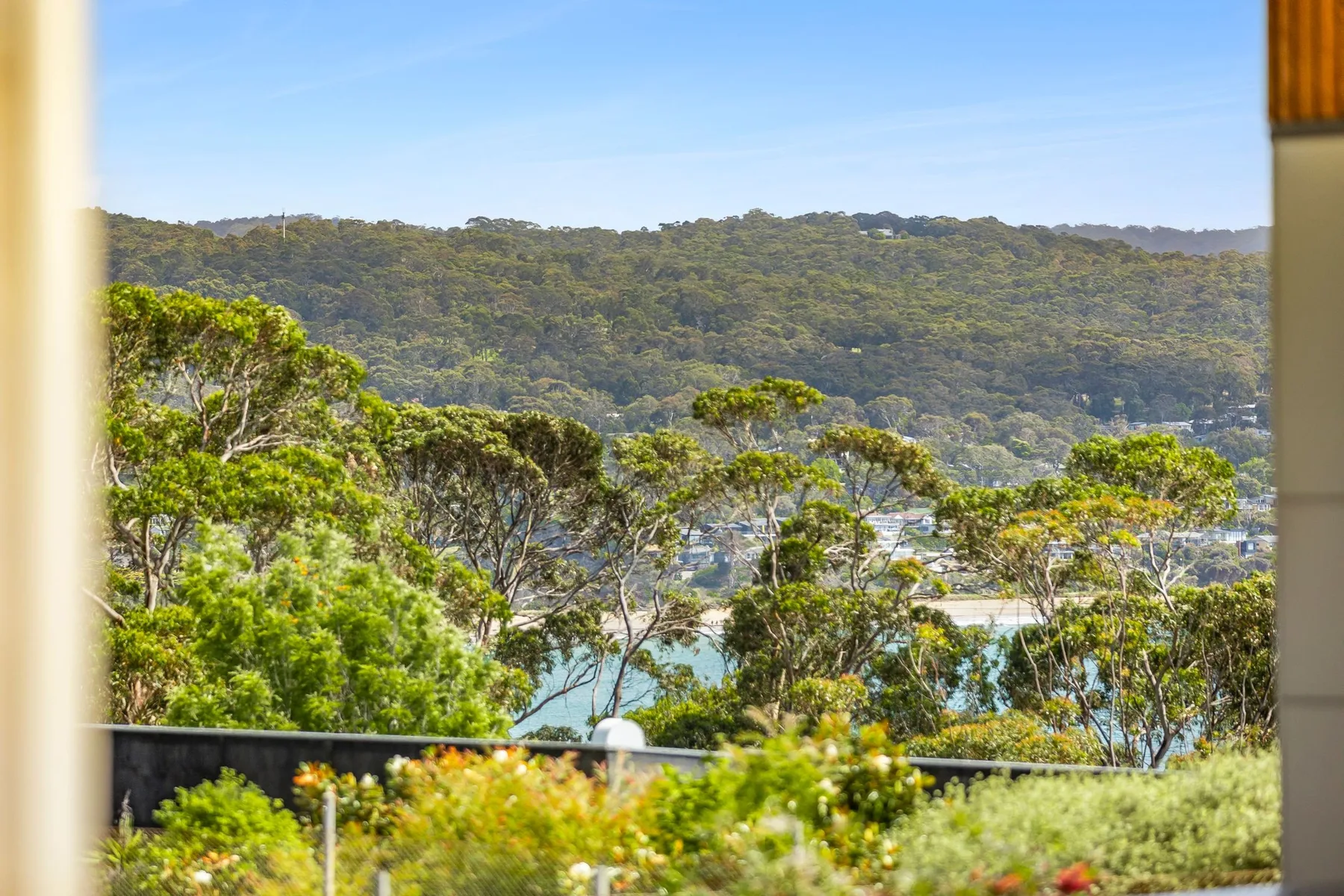 A wooded hillside and scattered buildings are visible beyond the foreground trees.