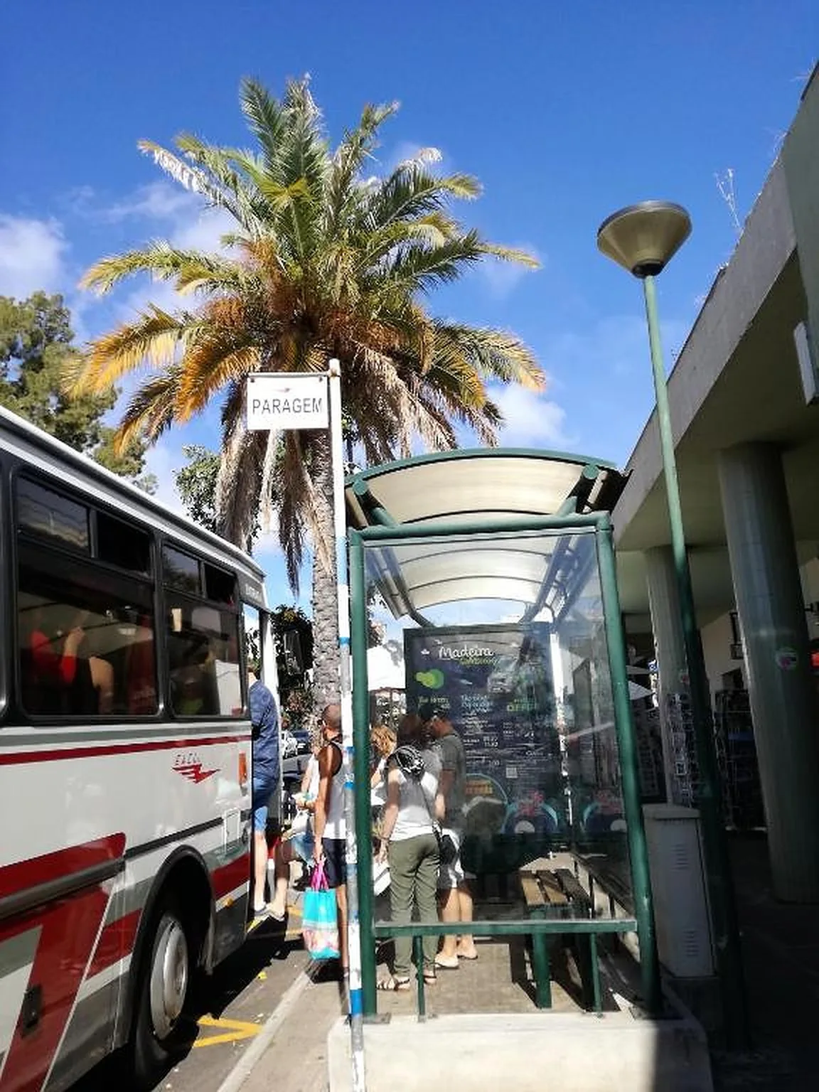Una marquesina de autobús está junto a un autobús bajo una palmera.