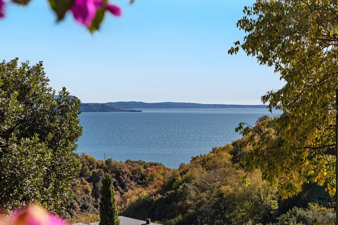 A broad lake view stretches beyond autumn-colored trees and foliage.
