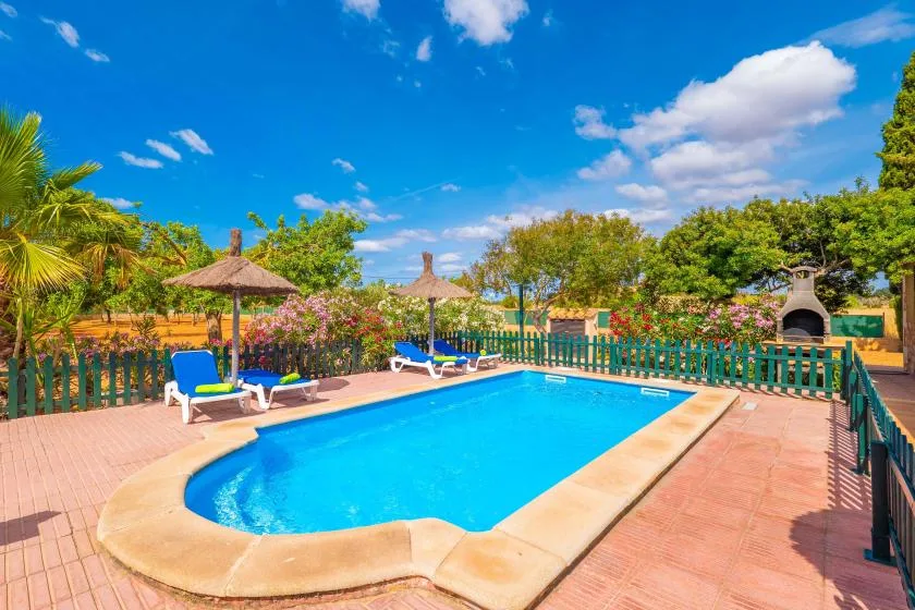 An outdoor swimming pool sits beside a fenced garden with shaded lounge seating.