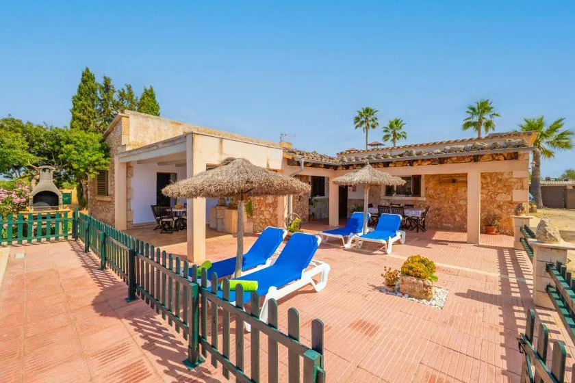 A sunny patio with lounge seating, a thatched parasol, and low green fencing.
