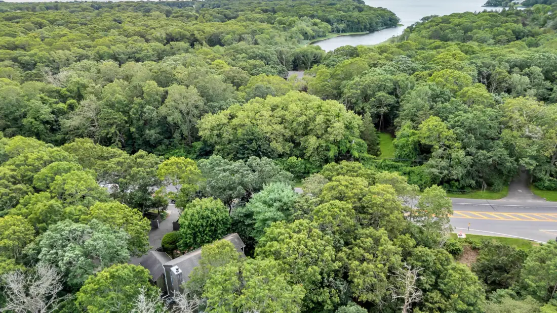 Vista aérea de un bosque frondoso que rodea un río sinuoso y una carretera.