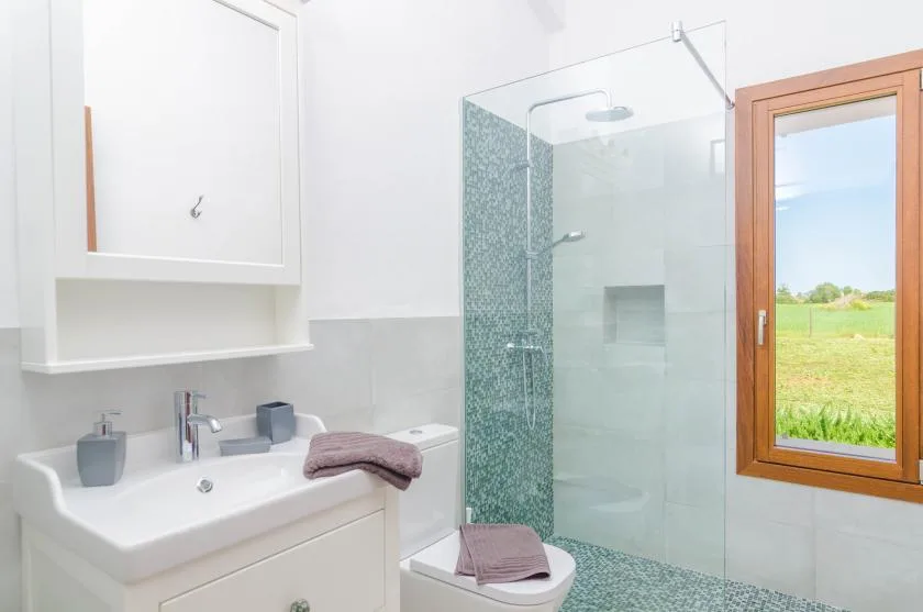 A bright bathroom with a sink, toilet, glass shower, and window overlooking a field.
