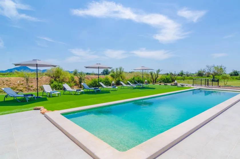 A swimming pool beside a green lawn with loungers and umbrellas.