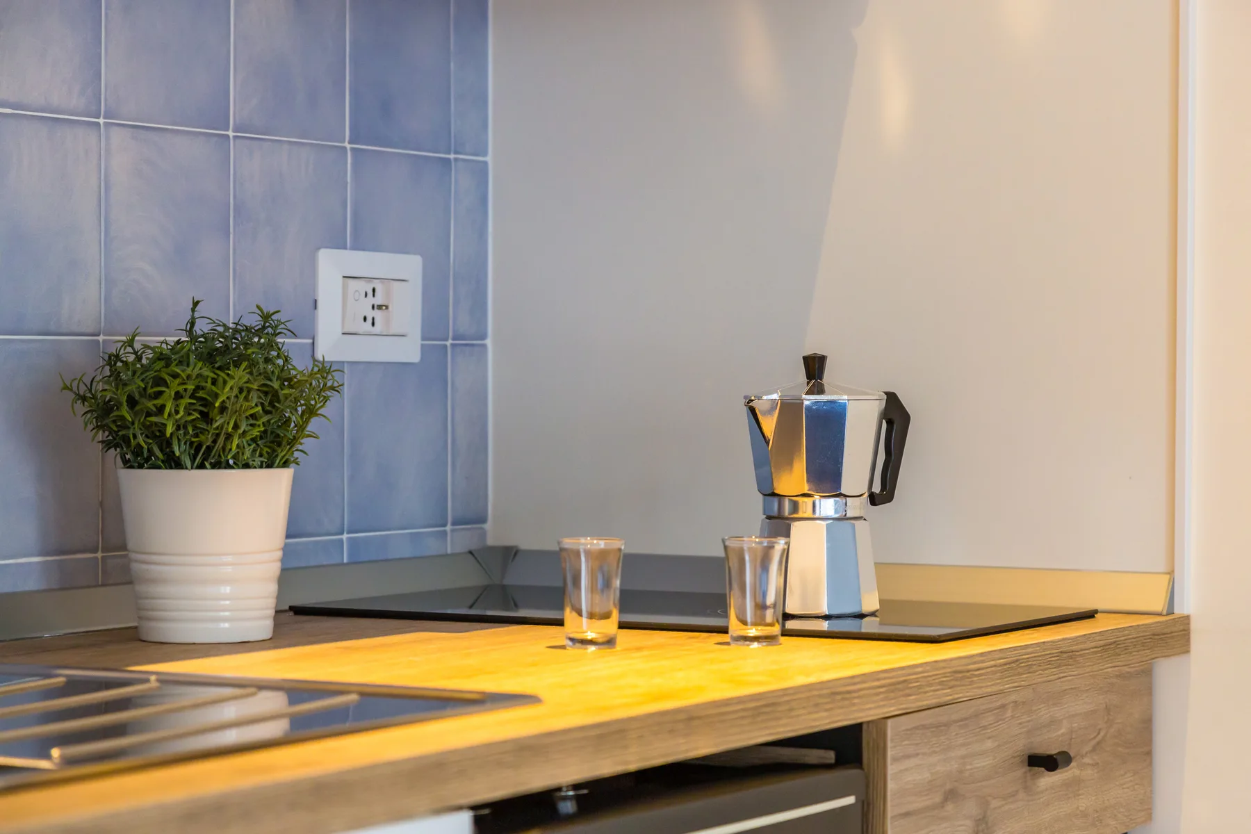 A kitchen counter with a stovetop, a coffee maker, and a potted plant.