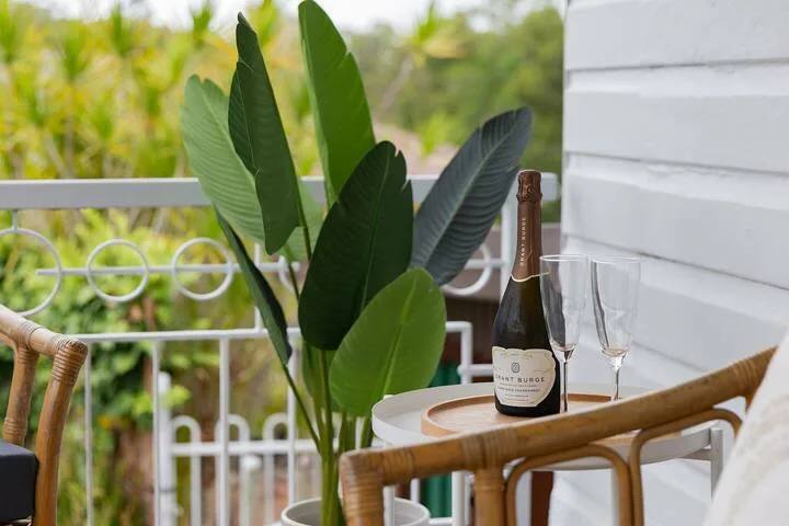 Una zona de estar en un balcón con una planta frondosa y copas de vino sobre una mesa pequeña.