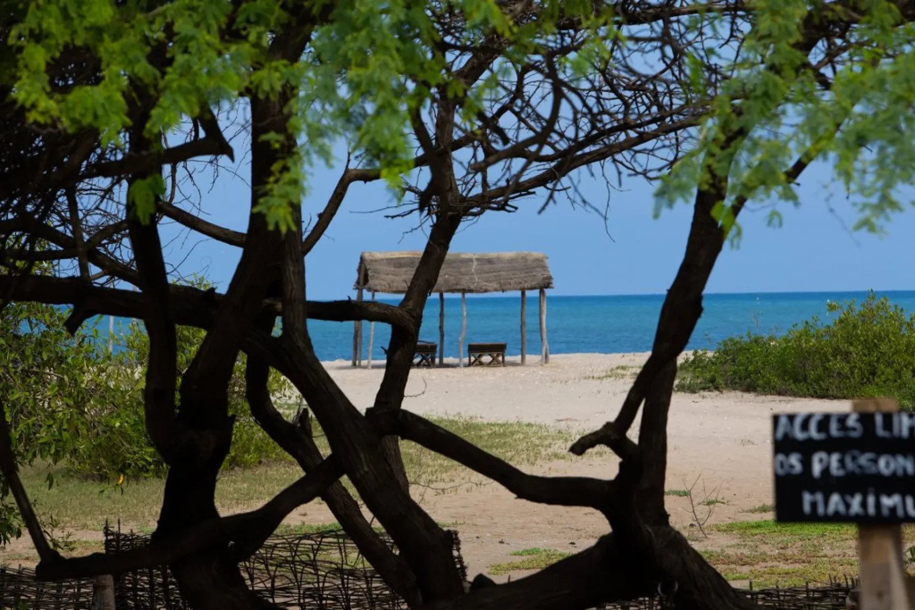 Photo of the Ecolodge de Palmarin