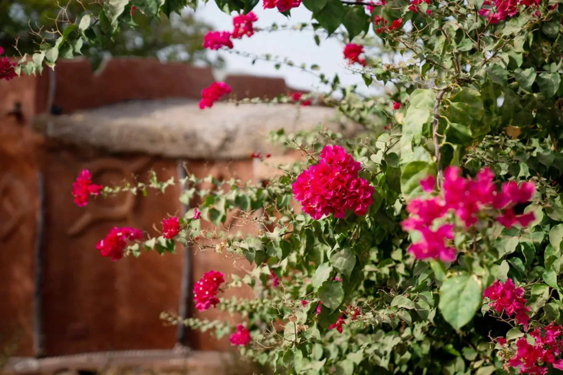 Photo of the Ecolodge de Palmarin